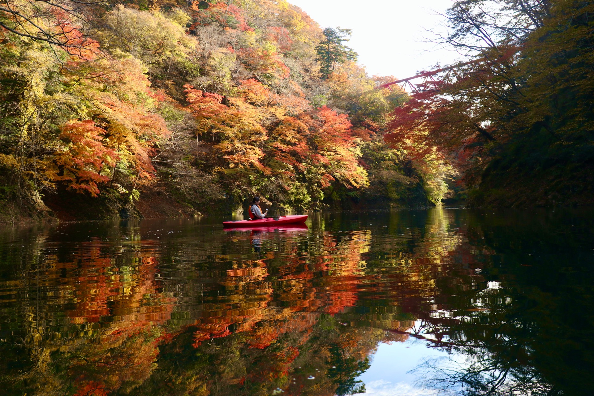 秋は絶景の紅葉クルージング